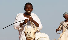 cammellieri a Meroe-Sudan